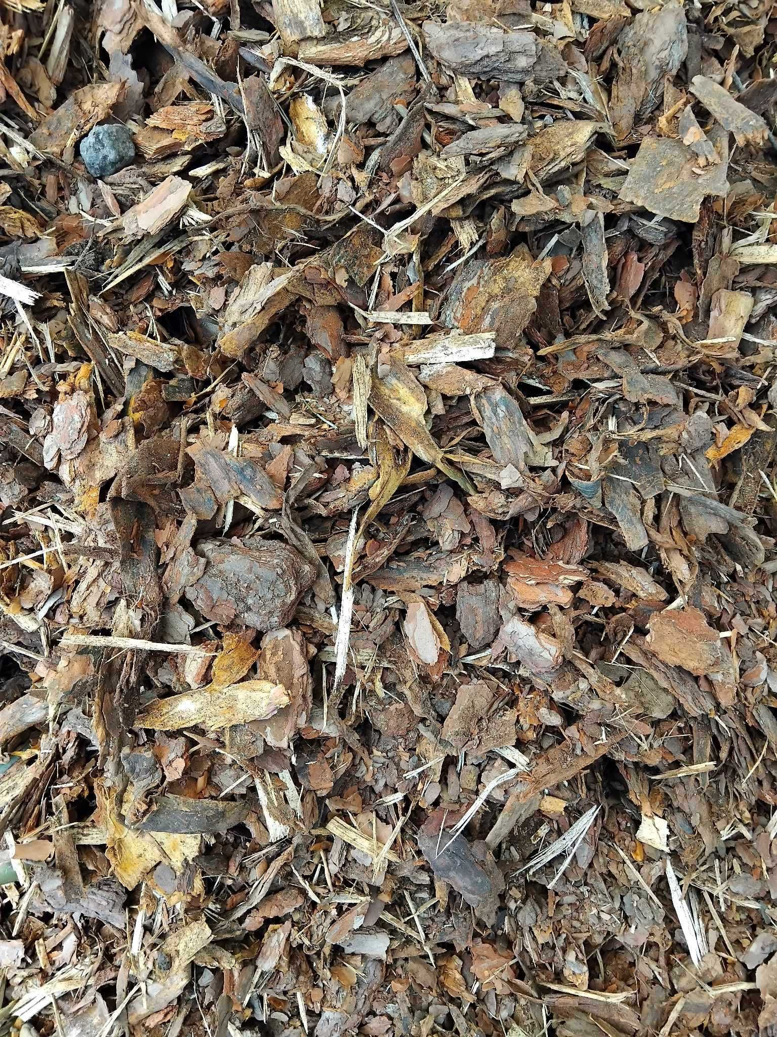 Kora sosnowa drobna, nie sortowana oraz gruba