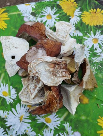 Білі гриби сушені Східницькі Карпатські