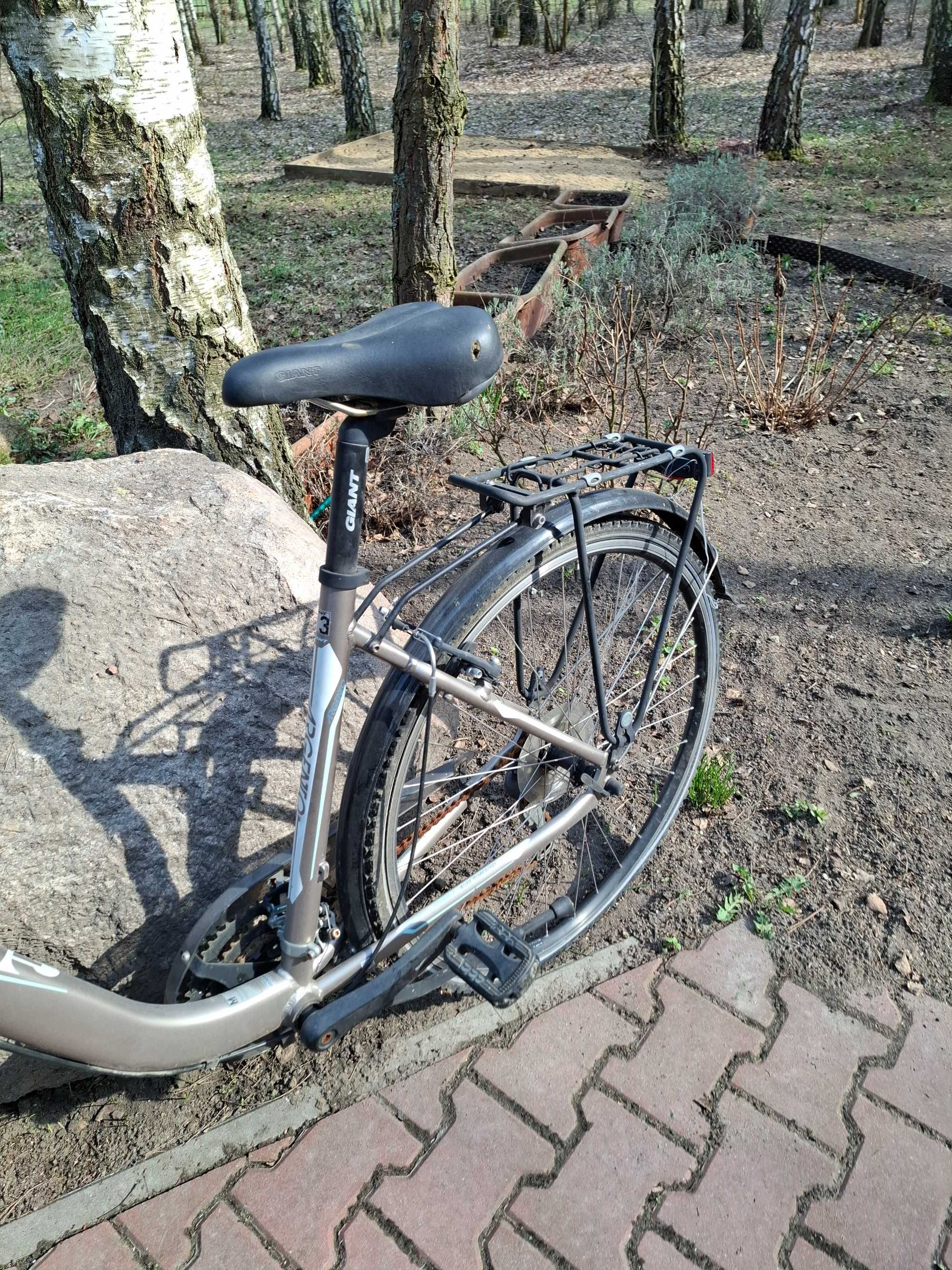 Rower damka Giant Argento