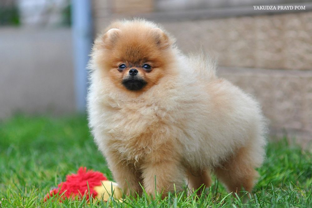 Незабутні очі цього малюка