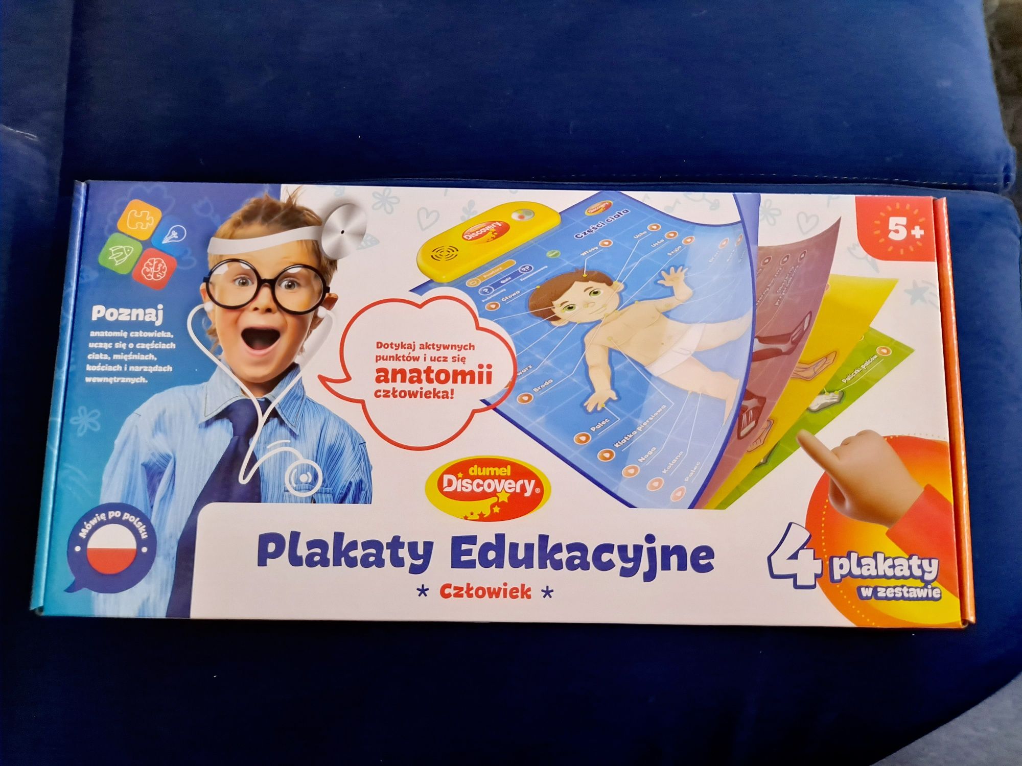 Nowa gra Dummel plakaty edukacyjne człowiek