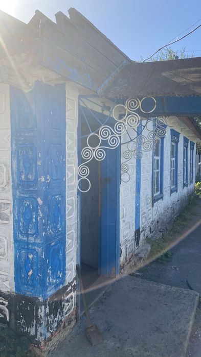 Два будинка в с.Недогарки