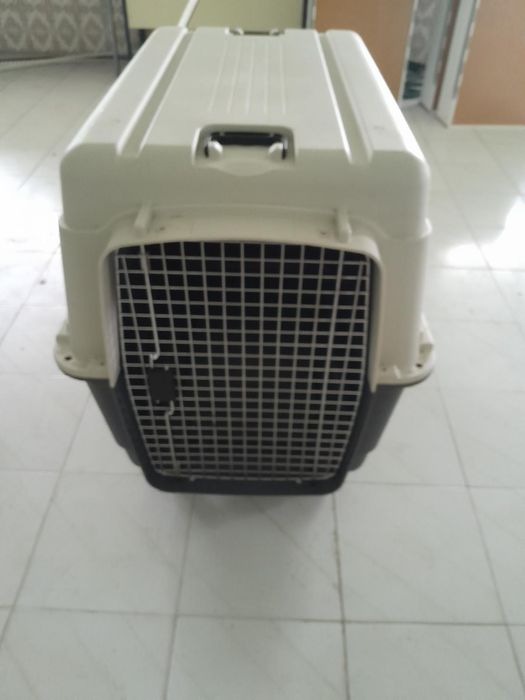 Casota para transporte de animais