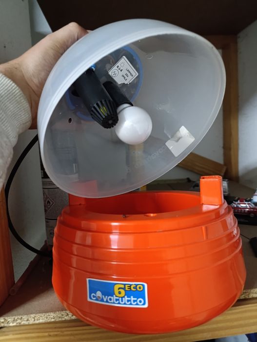 Chocadeira elétrica