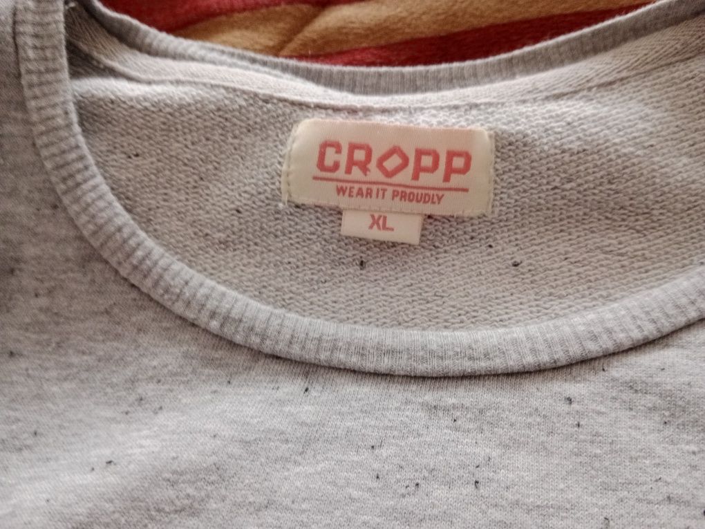 Sprzedam bluzę Cropp z motywem wilka xl
