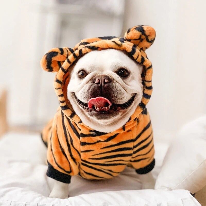 Костюм для собаки тигр, одяг для собаки XL