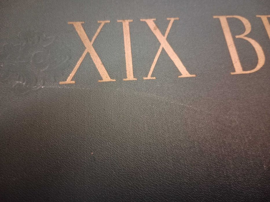 Album rosyjskie malarstwo, życie w XIX wieku