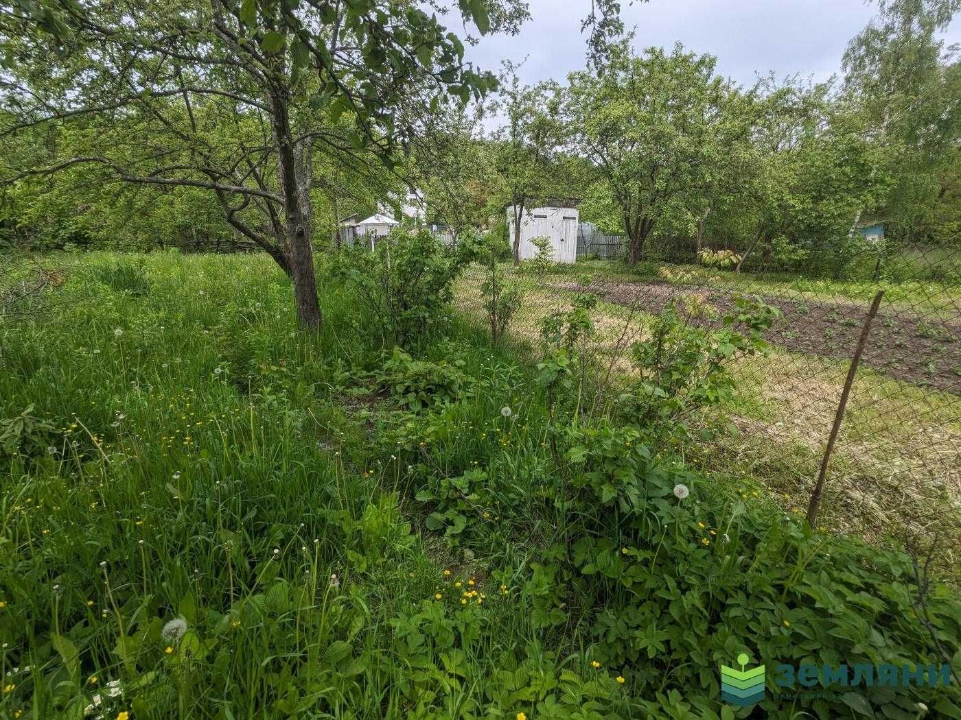продаж дачної ділянки ст Веселка
