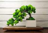 Декоративне дерево бонсай зі стабілізованним мохом