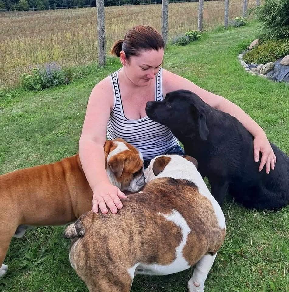 Petsitter dla Twojego zwierzaka