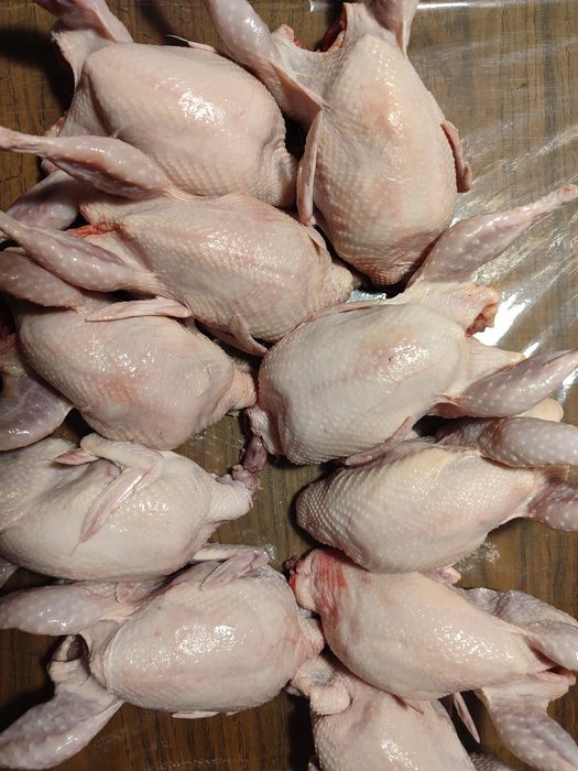 Тушки перепела по 250 грн