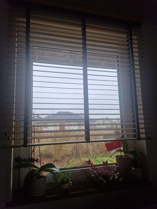 Żaluzja bambusowa graham Cliky