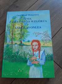 Książka dla dzieci Ania z Zielonego Wzgórza  Ania z Avonlea