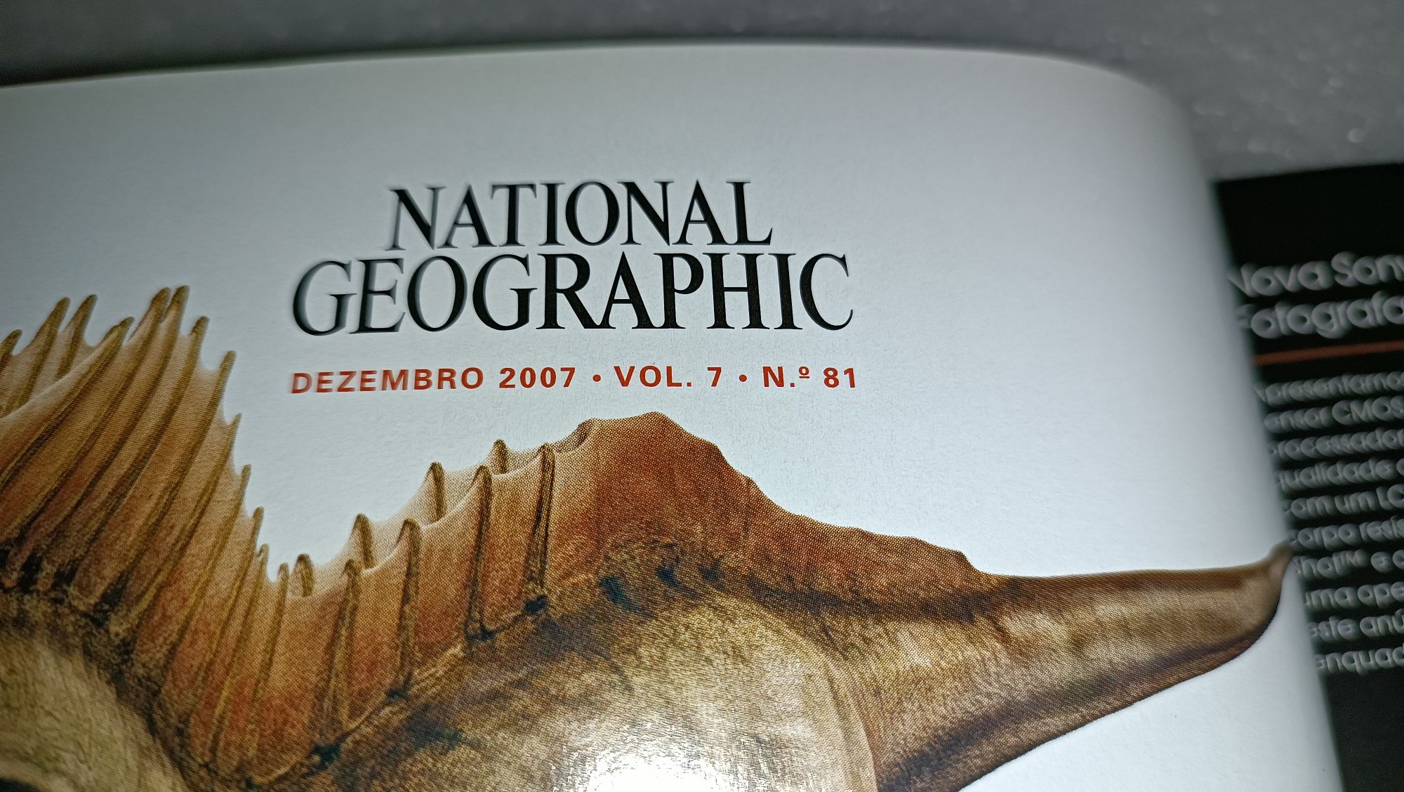 Antiga revista de 2007 National Geographic Dinaussauros