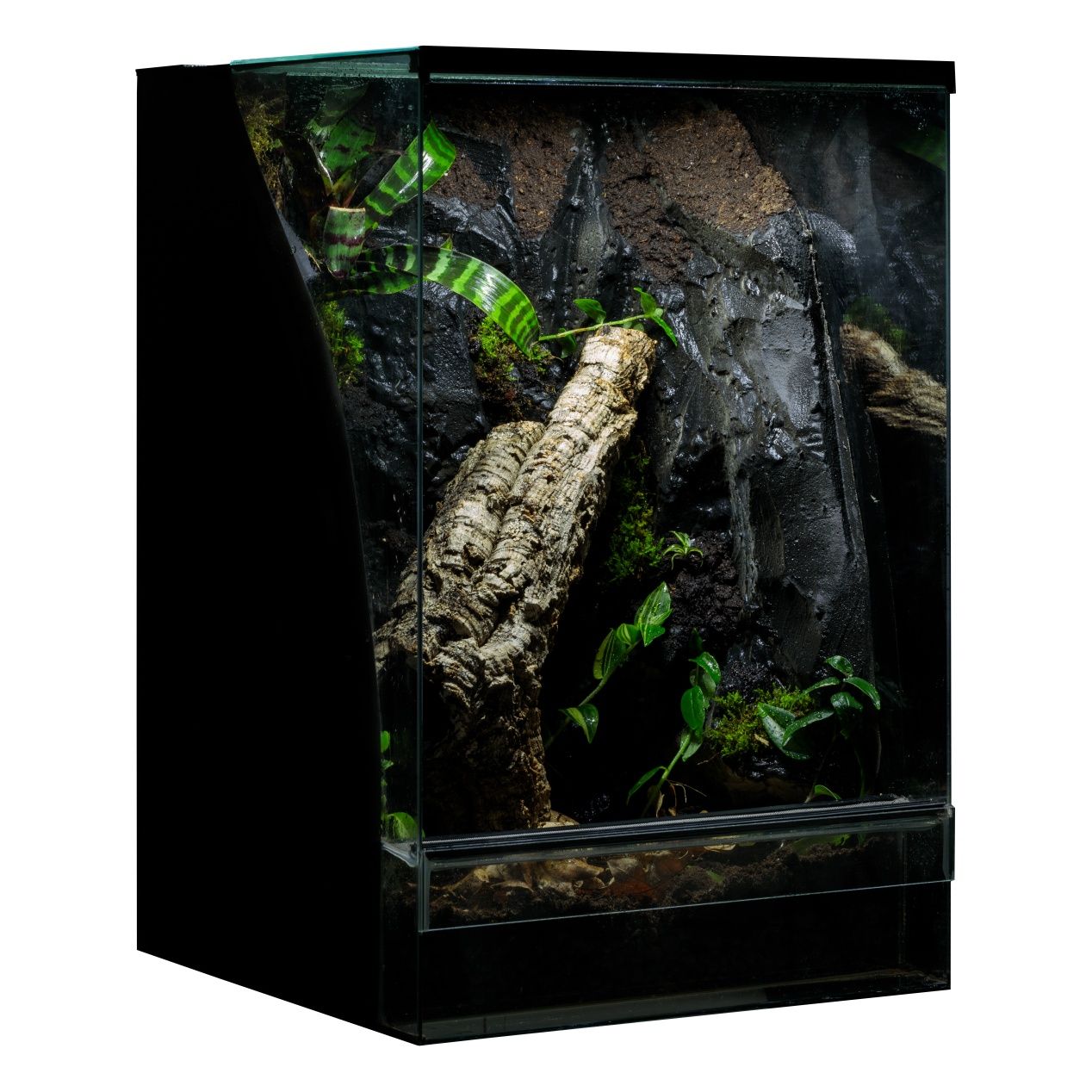 Terrarium tropikalne paludarium gekon 40x40x60