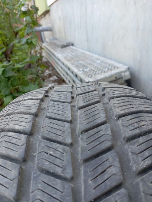 Подарую Barum polaris 3 205 55 16