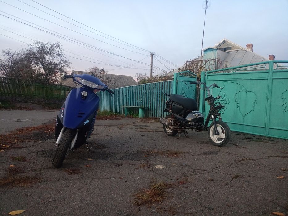 Джог са 12, стант, ТОРГ