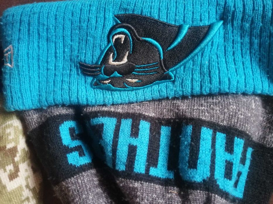 Мужские шапки NFL panthers / STEELERS