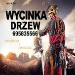 Usuwanie, wycinka drzew, Alpinistycznie, linowo, rębak, Super ceny