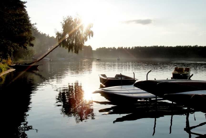 Wynajmę domek letniskowy Abisynia Borsk Wiele Wdzydze Kaszuby