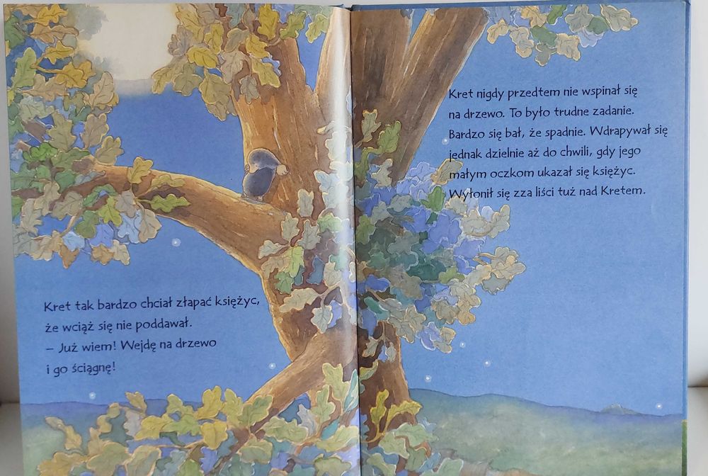 [Używana] Jak złapać księżyc ?