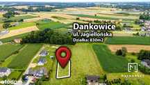 Ponad 8 arów w Dankowicach!