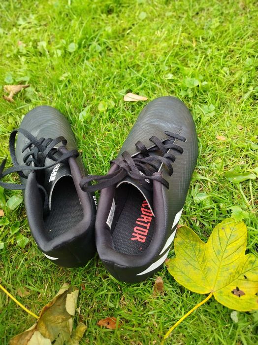 Korki piłkarskie Adidas Predator 37 1/3