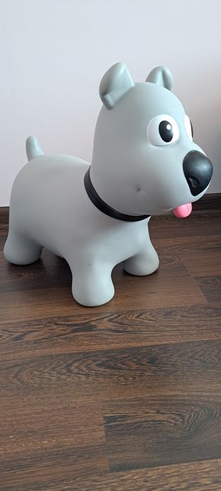 Skoczek piesek tootiny