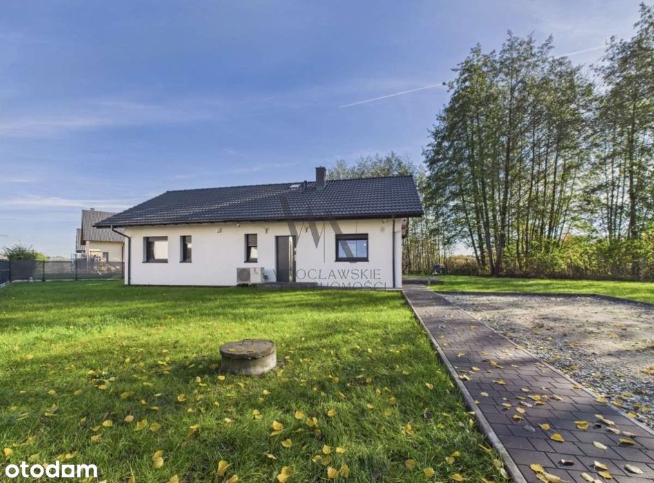 Do wprowadzenia | 2025 | Duża działka