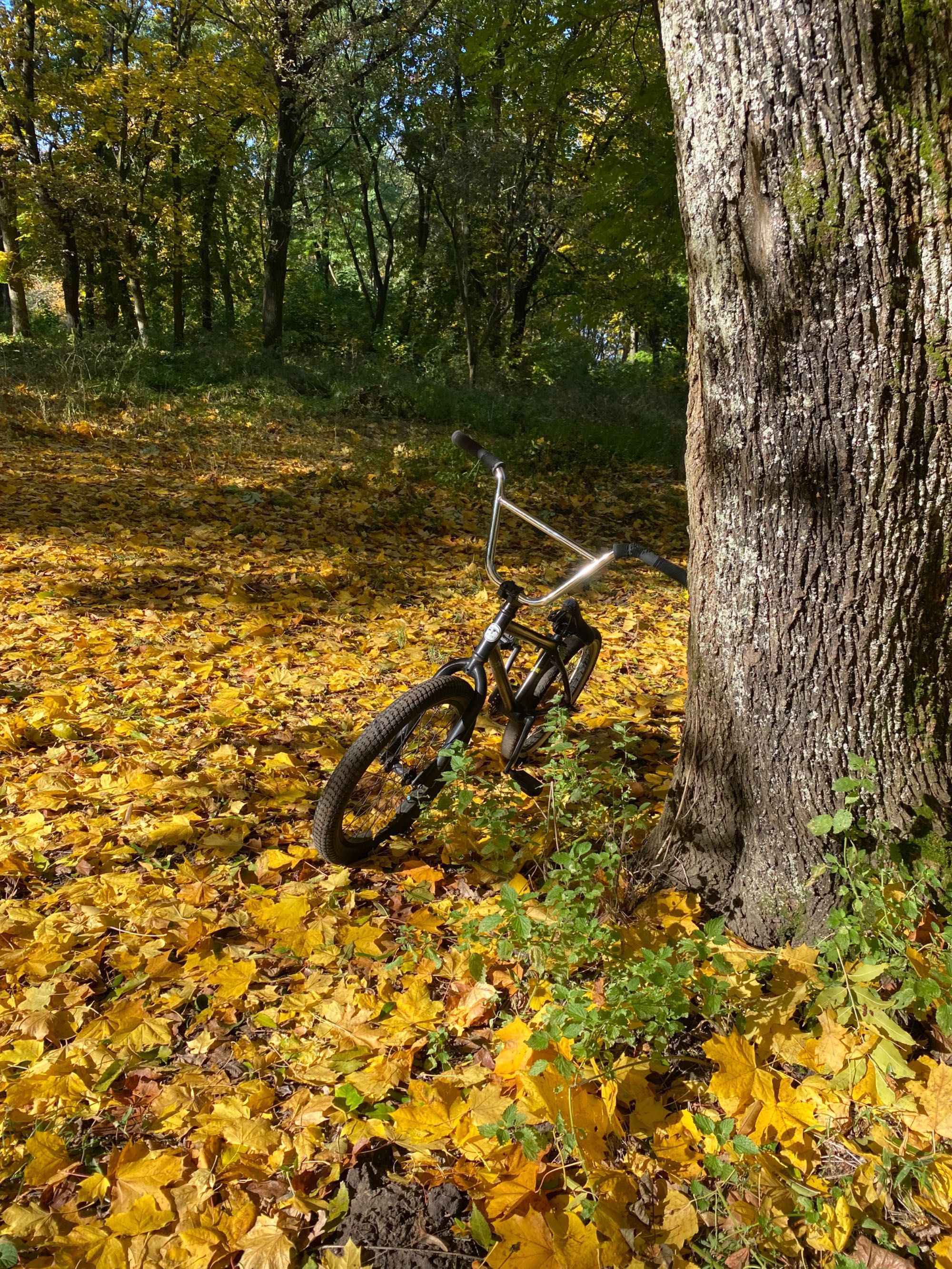 продам bmx в гарно стані писати в тг too_ooop