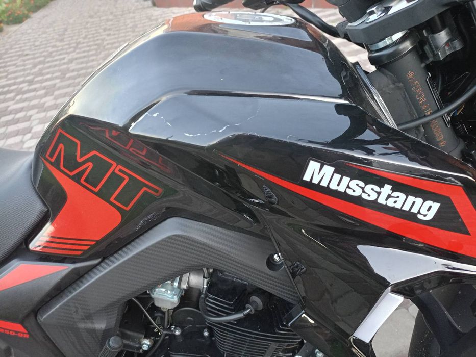 Musstang region mt 250