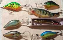 A. Rapala DT , rapala husky jerk , X-Rap Jointed Shad