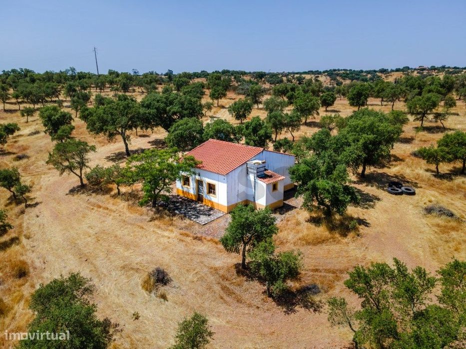 Quinta T2 em Serpa | Vista para a barragem