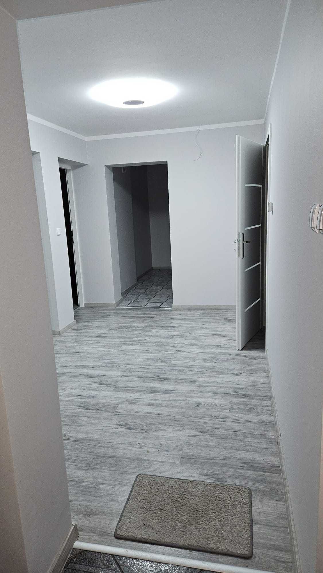 Lokal użytkowy+mieszkanie w centrum miasta