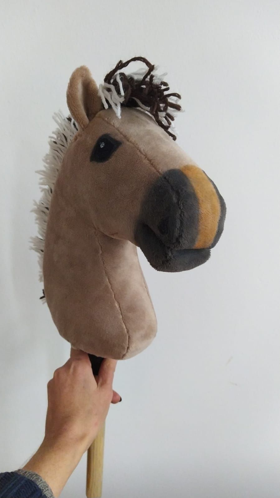 Hobby Horse Sport