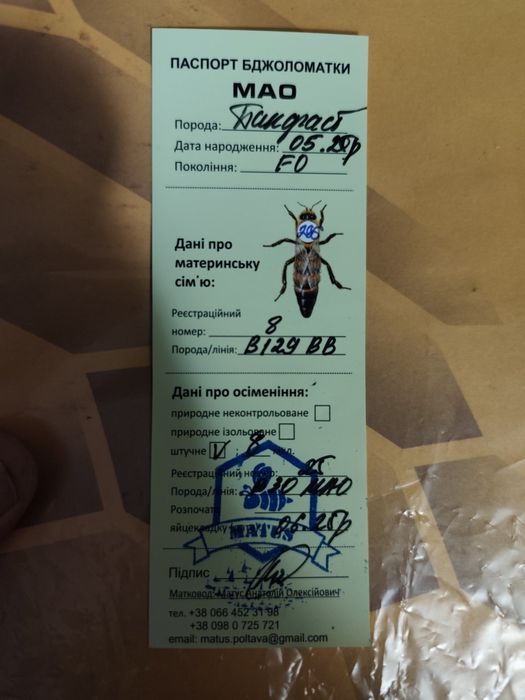 Бакфаст . Бджолопакети, матки.