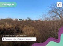 Земельна ділянка в с. Пасіки-Зубрицькі