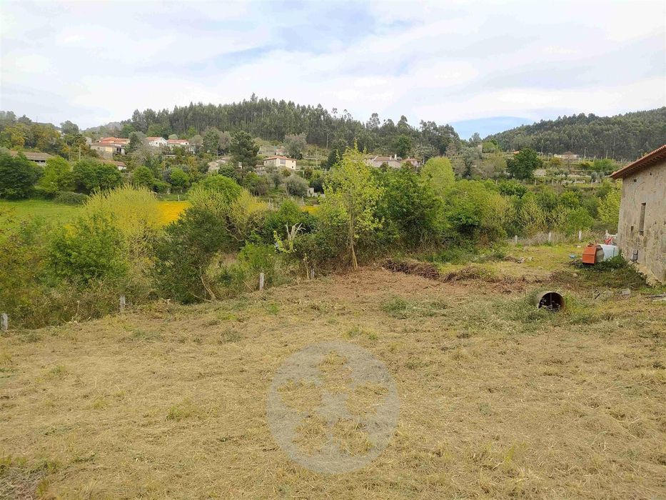 Fernando pires agente imobiliário da Remax like