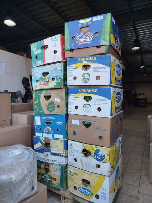 Примула на дорощення