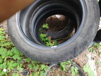 Резина 255/55 R19