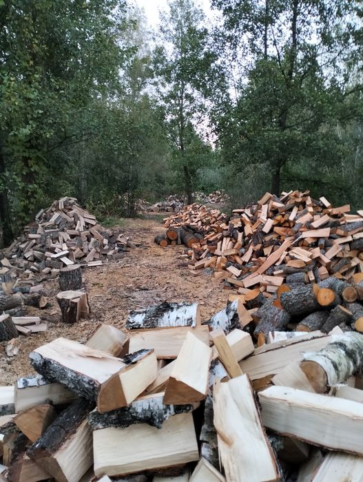 Продам Дрова рубані