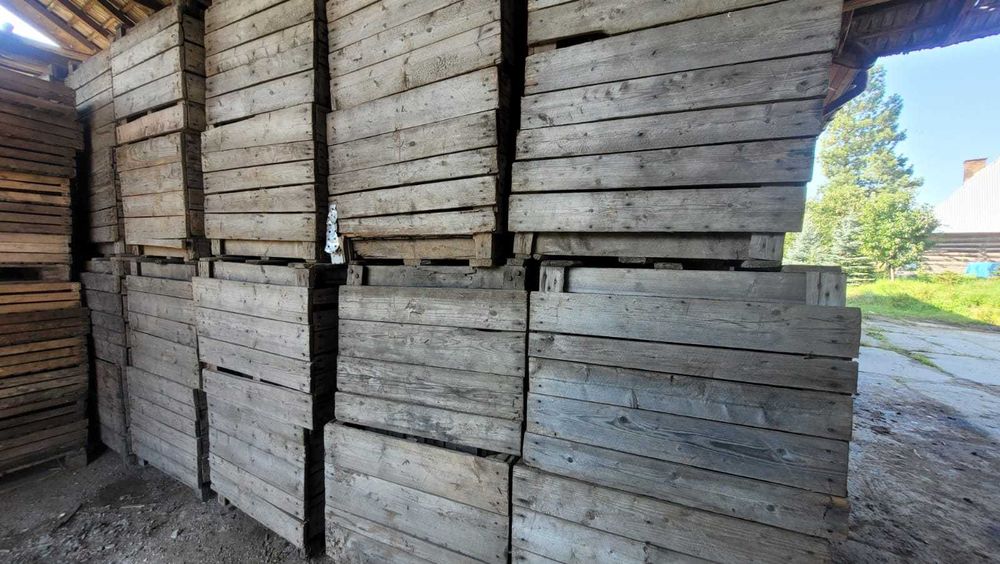 Skrzyniopalety drewniane na warzywa owoce drewno, solidne 250 szt.