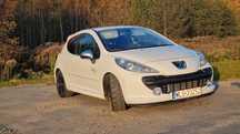 Peugeot  207GTI  RC  200KM  12.2009r KJS Track Day, Rally Sprint