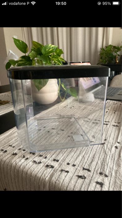 Aquario Bettacub Aquatlantis