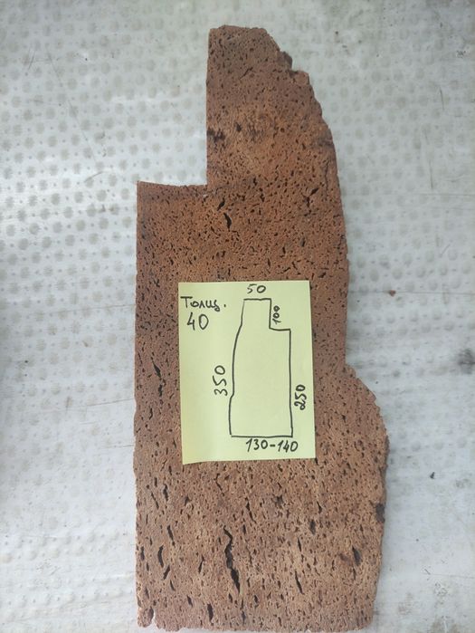 Пробковое дерево