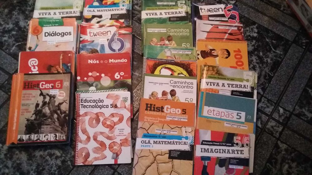 Livros do 5 e 6 ano