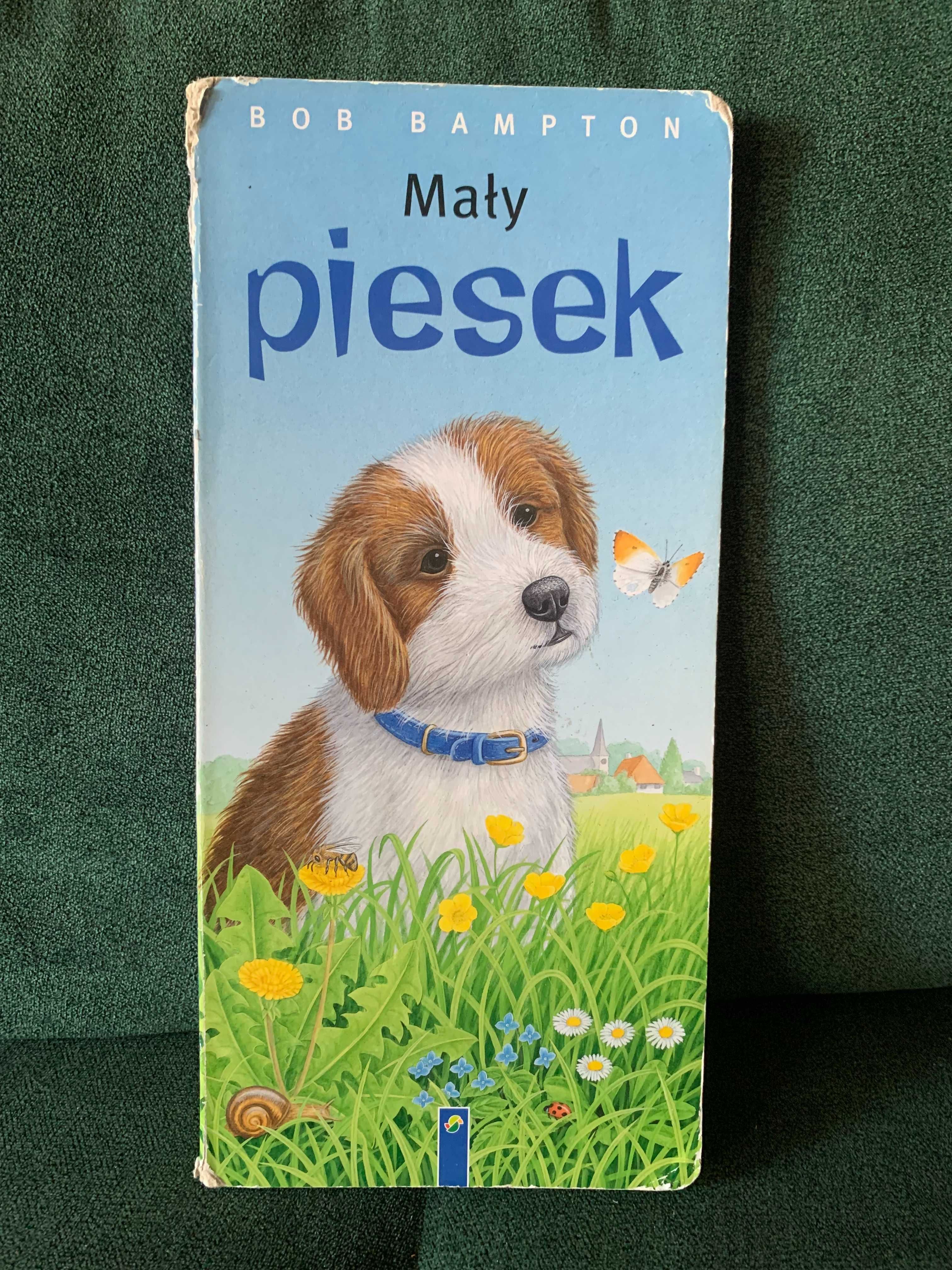 Mały piesek książeczka książka B. Bampton