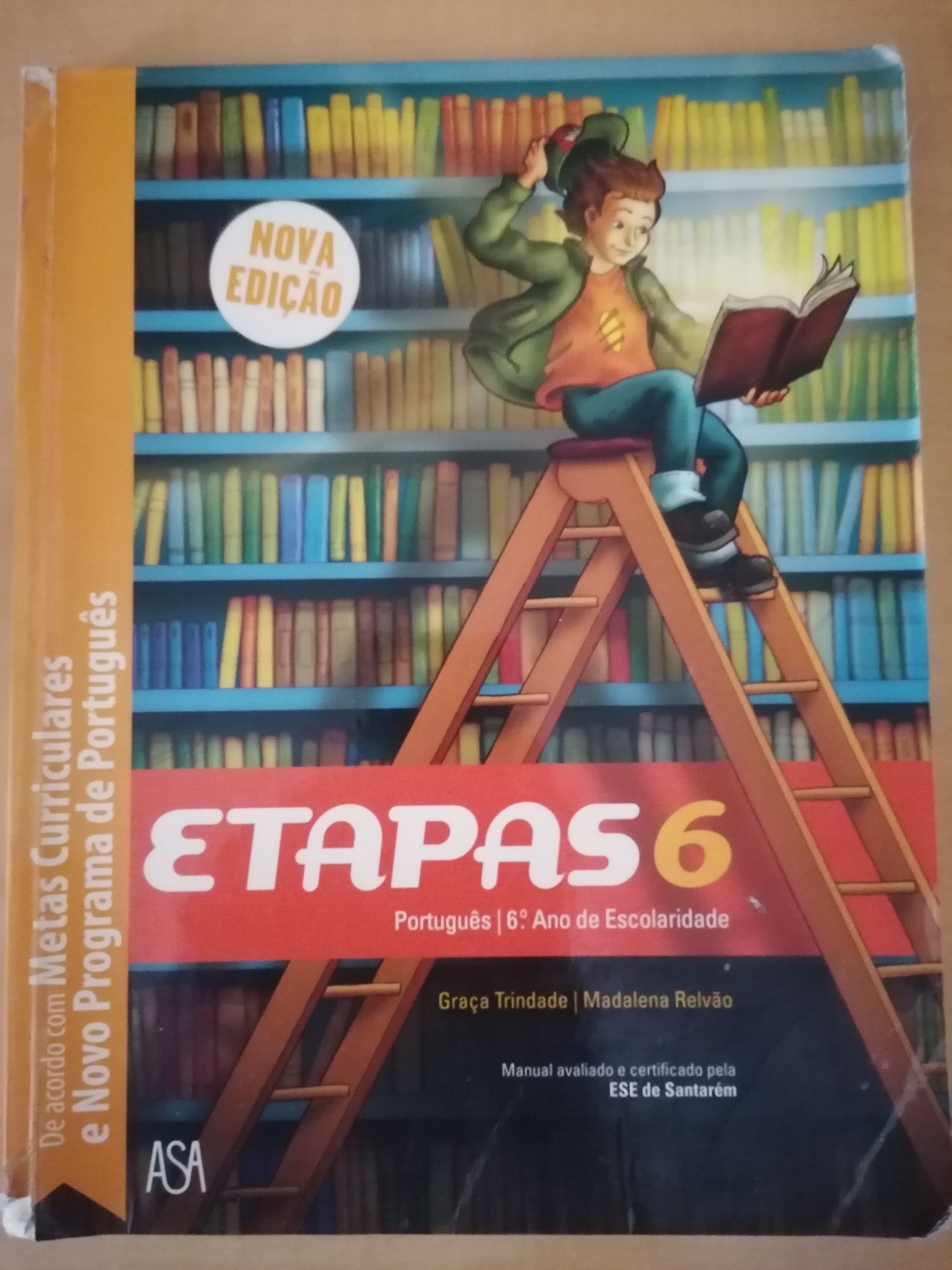 Manuais e cadernos de atividades 6° ano