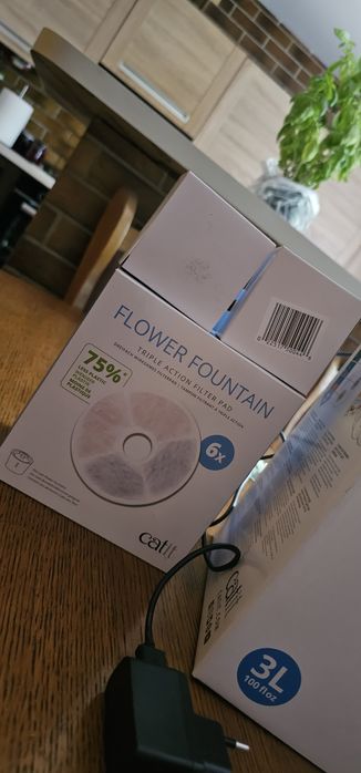 Fontanna poidełko dla kota