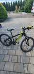 Rower Kross 24 Dust Jr 1.0